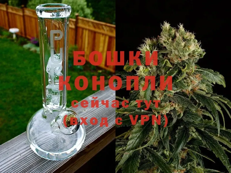 купить наркоту  Белорецк  darknet формула  Конопля White Widow 